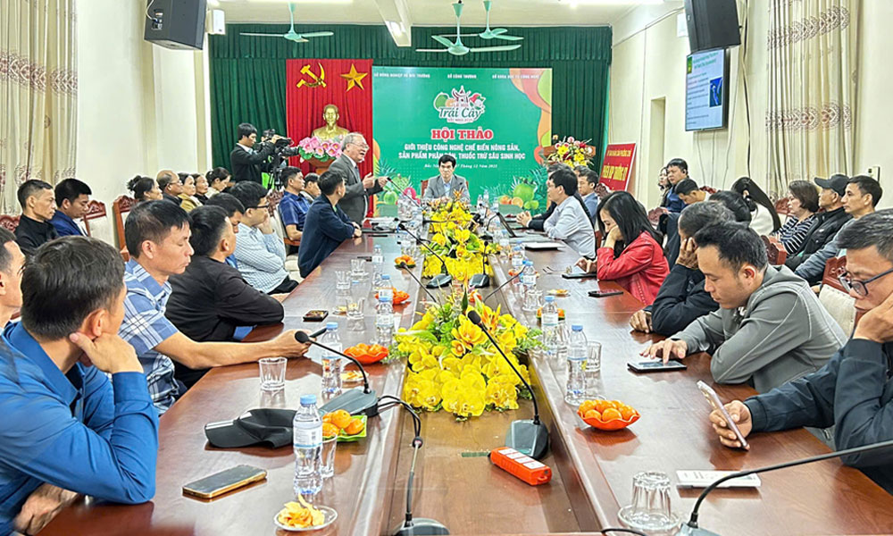 Giới thiệu
