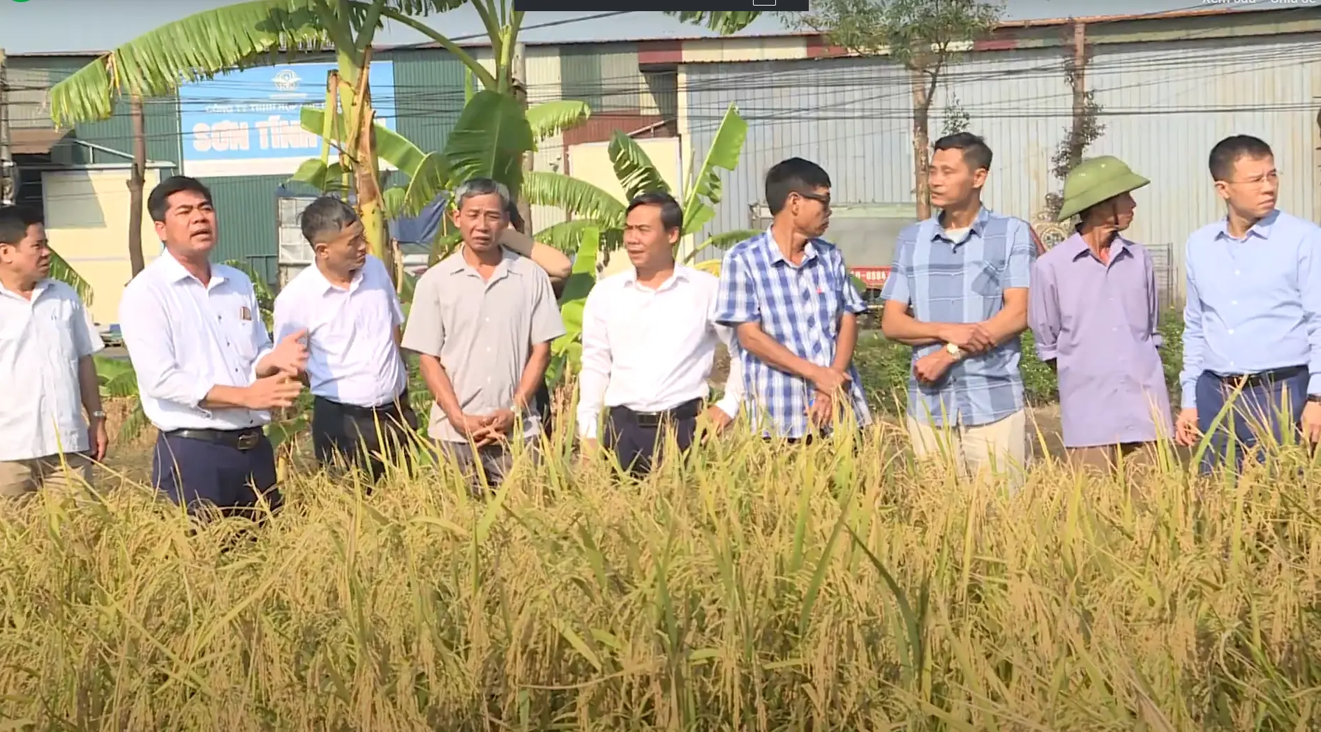 Giới thiệu